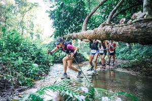 BIB: 
                            <button type="button" onclick="openModal(25441206)" class="btn btn-primary btn-sm float-right btn-popup" data-toggle="modal" data-target=".modal-high-quality">
                        <i class="fas fa-shopping-cart"></i> Add to Cart
                    </button>
                                            <button type="button" onclick="isThisMe(25441206, true)" class="btn btn-success btn-sm float-right btn-popup btn-isme hidden" data-toggle="tooltip" data-placement="bottom" title="นี่คือรูปของคุณใช่ไหม คลิกที่นี่เพื่อเอาเข้าอัลบั้ม">
                        <i class="fas fa-plus"></i> Add to album
                    </button>
                    <button type="button" onclick="isThisMe(25441206, false)" class="btn btn-warning btn-sm float-right btn-popup btn-isnotme hidden">
                        <i class="fas fa-ban"></i> Remove from album
                    </button>